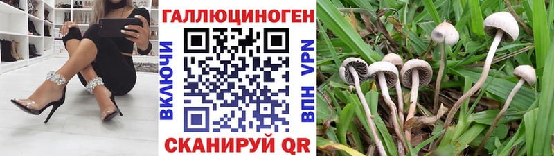 Псилоцибиновые грибы ЛСД  Купить где  Тверь 